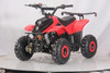 DongFang 110cc (DF110AVA) Gas ATV With 6-inch Wheel, Electric Start, Remote Shut Off Switch