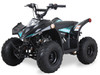 Ice Bear SY70 70cc ATV with Upgraded Plastics, Electric Start, and Automatic Transmission