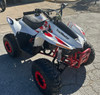 Display model TrailMaster N110 Atv, 110cc, 1-Cylinder, Air Cooled