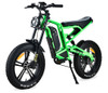 Icebear EBA216x500 Electric Bike, Powerful 500W Motor With 48V12Ah Removable Lithium-ion battery