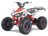 Taotao 125Cc Cheetah G125 Atv, Air-Cooled, 4-Stroke, Single-Cylinder