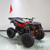 RPS 200cc Utility ATV Fully Automatic with Reverse, Hydraulic Disc Brake RPS 200cc Utility ATV Fully Automatic with Reverse, Hydraulic Disc Brake