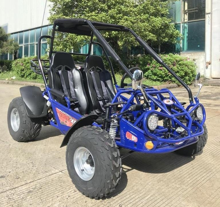 Buy TrailMaster 200E XRS EFI Go Kart 168.9cc -arlingtonpowersports.com