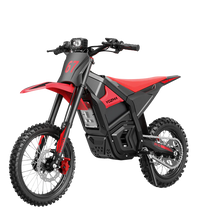 Yozma IN 10 Electric Mini Dirt Bike – 2600W Mid-Drive, 48V Battery