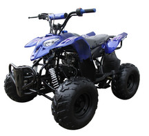 Coolster 3050B 110cc ATV Sport ATV With Bigger 16" Tires, Four-Stroke, Air-Cooled