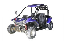 Vitacci T-Rex 125cc 4 STROKE, Automatic with Reverse, Air Cooled