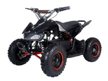 TAOTAO E1-500 500 Watt 36 Volt Electric Four Wheeler ATV