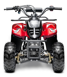 Made in Vietnam Goldenwing New Rex ATV, 110cc Air Cooled, 4-Stroke, 1-Cylinder, Automatic