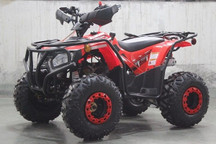 DongFang Rhino 200 (DF200ATS) Atv, 200cc, Kids/Youth/Adult Size, 19" Tire, Auto W/Reverse, Full Body Roll Cage, Foot Brake