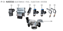 Lifan Lf250-D Throttle Valve Body Assembly(Image #06)