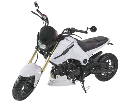 2024 MODEL ICE BEAR FUERZA 125CC AIR COOLED, 4 SPEED (PMZ125-1)