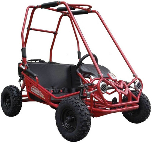 TrailMaster Mini XRS+ (Plus) 163CC Go Kart With Manual Pull Start 4-Stroke, Single Cylinder, Air Cooled