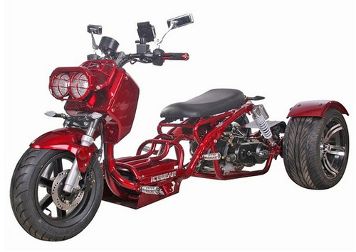 2024 Model ICE BEAR MADDOG PST50-19N 50CC TRIKE