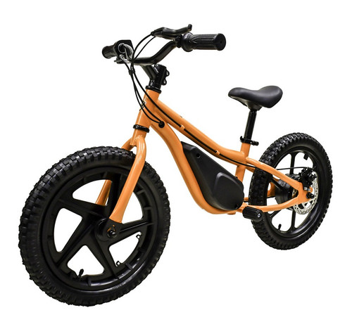 Buy New E16 BALANCE Electric Bike for online sale at Arlington