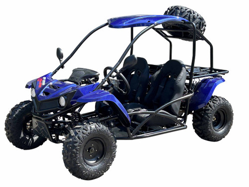 814　GOLDGYM30周年blueeq ATHLETE Vitacci T-Rex 150Cc Go Kart, 4 Stroke, Air Cooled | Arlington