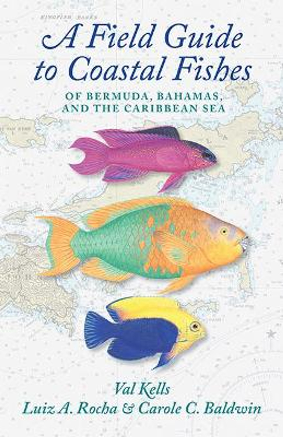 A Field Guide to Coastal Fishes of Bermuda, Bahamas, and the Caribbean Sea  by Valerie A. Kells - Booksplease