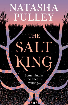 The Salt King by Natasha Pulley 9781399632966