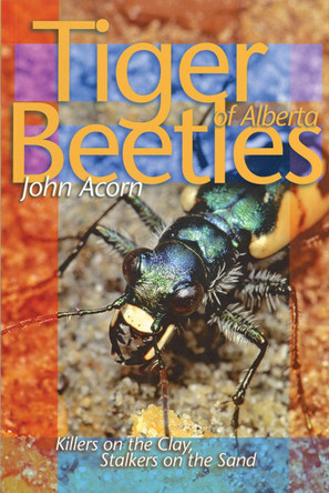 Tiger Beetles of Alberta: Killers on the Clay, Stalkers on the Sand by John Acorn 9780888643452