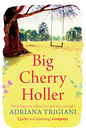 Big Cherry Holler by Adriana Trigiani 9781849834032 [USED COPY]