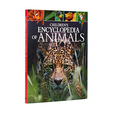 Children's Encyclopedia of Animals by Dr Michael Leach 9781788285063