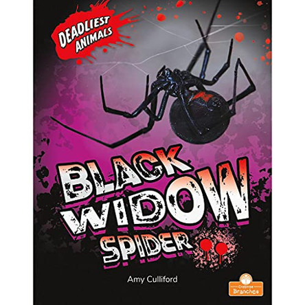Black Widow Spider by Amy Culliford 9781427154187