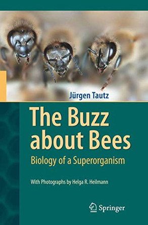 The Buzz about Bees: Biology of a Superorganism by Jurgen Tautz 9783540787273