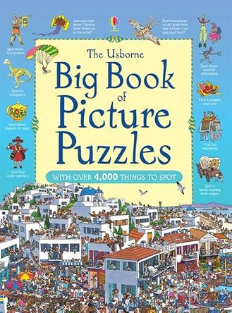 The Usborne Big Book of Picture Puzzles by  9781409531371 [USED COPY]