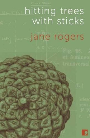 Hitting Trees with Sticks by Jane Rogers 9781905583454