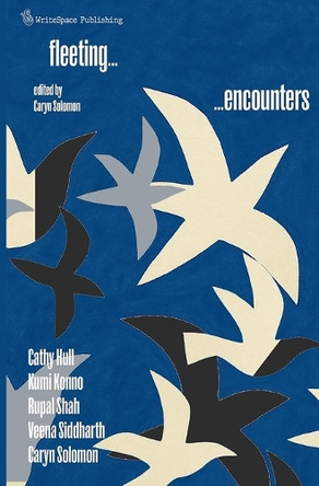 Fleeting Encounters by Caryn Solomon 9781917908023