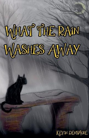 What The Rain Washes Away by Kevin Densmore 9798230130291