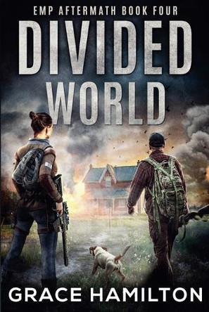 Divided World by Grace Hamilton 9798232918286