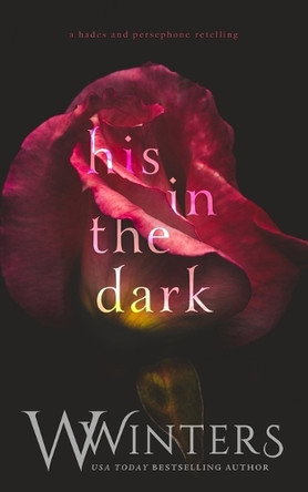 His in the Dark by Willow Winters 9798885926218