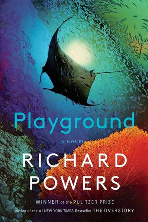 Playground by Richard Powers 9781420517576