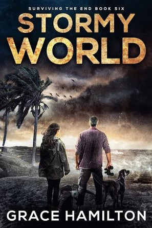 Stormy World by Grace Hamilton 9798231550814