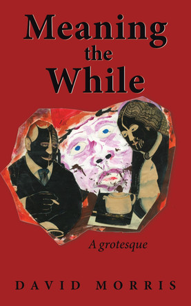 Meaning The While: A grotesque by David Morris 9781913460914