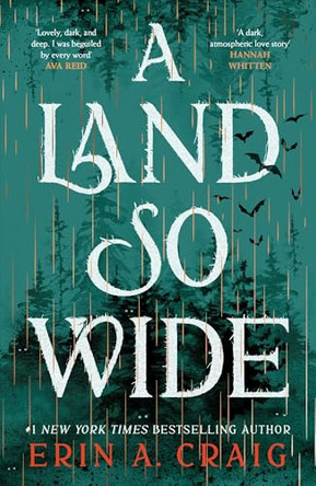 A Land So Wide: A breathtaking, deliciously dark fairy tale from #1 New York Times and USA Today bestselling author Erin A. Craig by Erin A. Craig 9781035411092