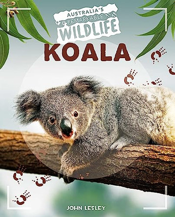 Koala by John Lesley 9781761400155