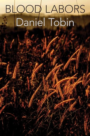 Blood Labors by Daniel Tobin 9781945588198