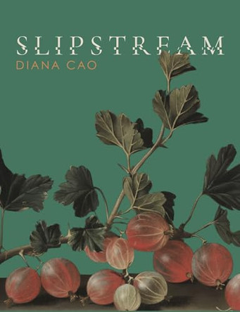 Slipstream by Diana Cao 9781961209619