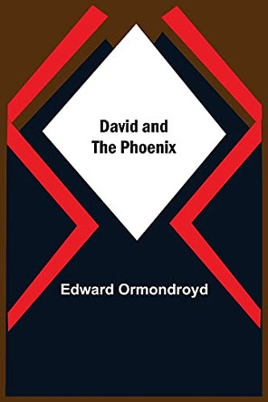 David And The Phoenix by Edward Ormondroyd 9789354593758
