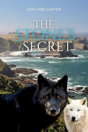 The Stone's Secret by Ashlynn Carter 9798348455200