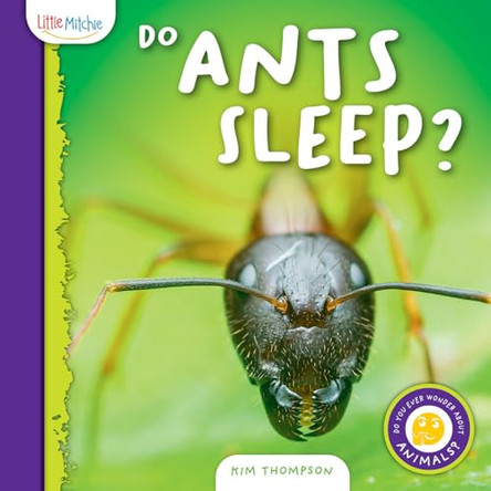Do Ants Sleep? by Kim Thompson 9798892609210