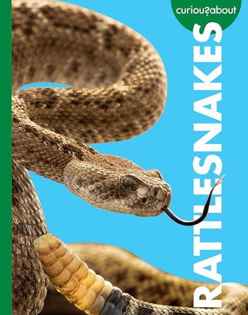 Curious about Rattlesnakes by Rachel Grack 9798896852742