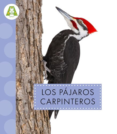 Los Pajaros Carpinteros by Anastasia Suen 9798896853732