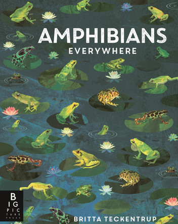 Amphibians Everywhere by Camilla de la Bedoyere 9781536244120