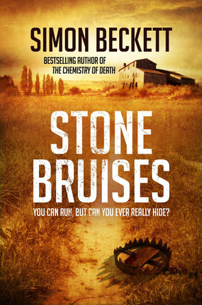 Stone Bruises by Simon Beckett 9780857502582 [USED COPY]