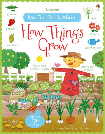 My First Book About How Things Grow Sticker Book by Felicity Brooks 9781409593584 [USED COPY]