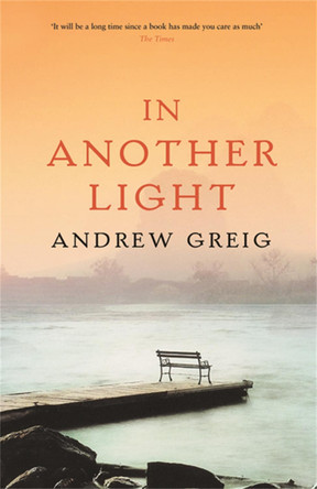 In Another Light by Andrew Greig 9780753820070 [USED COPY]