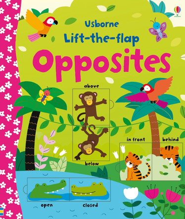 Lift-the-flap Opposites by Felicity Brooks 9781409582588 [USED COPY]