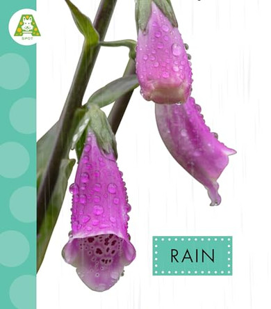 Rain by Anastasia Suen 9798896852100